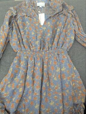 Gilner Farrar Phoebe Dress NWT